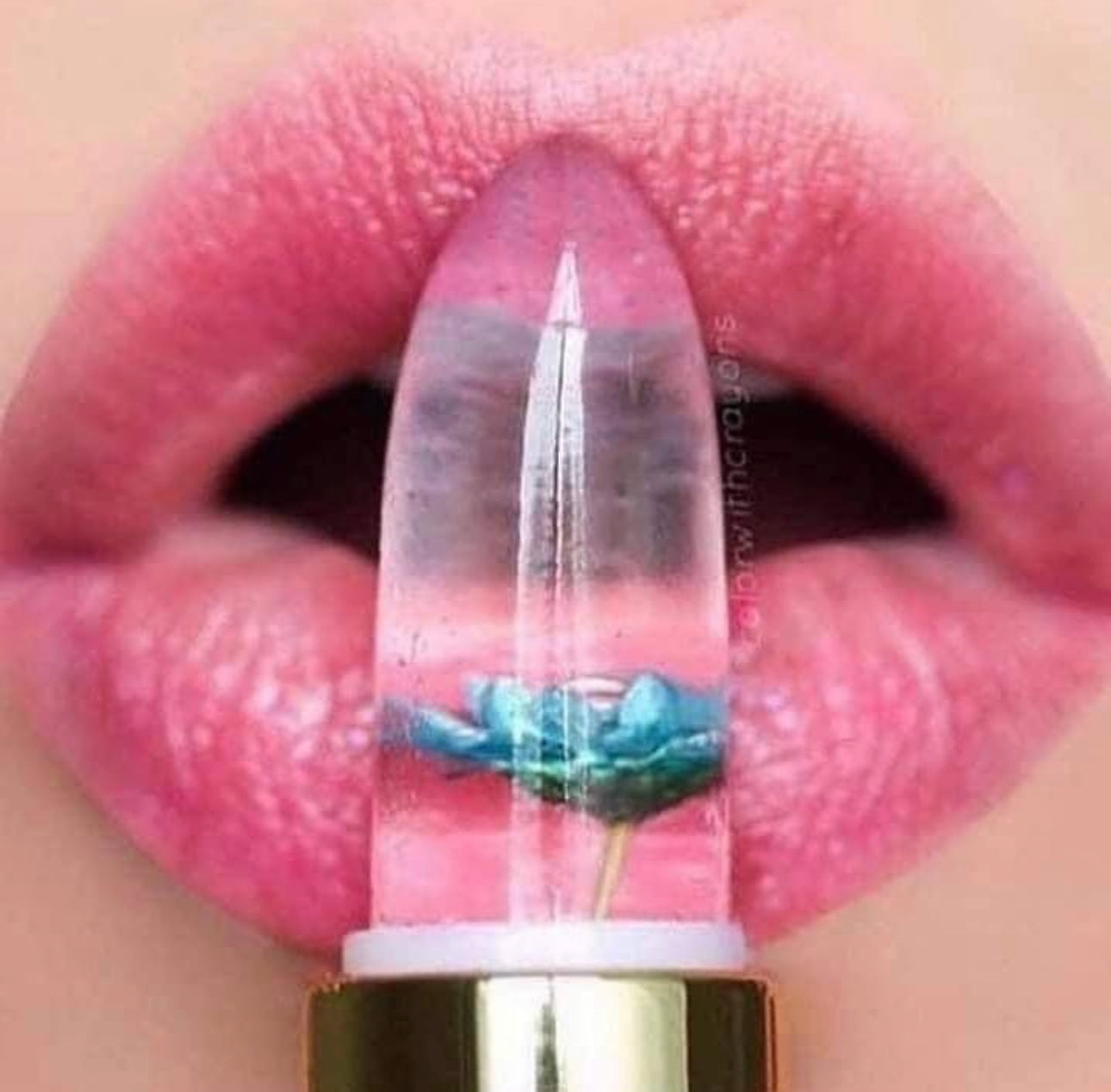 Dried Flower Jelly Lipbalm.