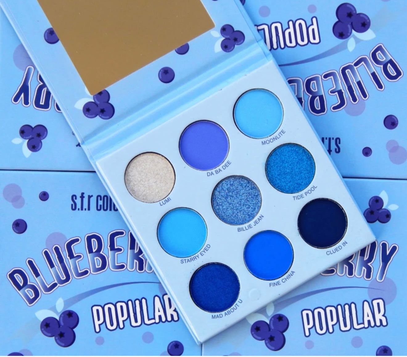 SFR Mini Blueberry Eyeshadow (9Colour)